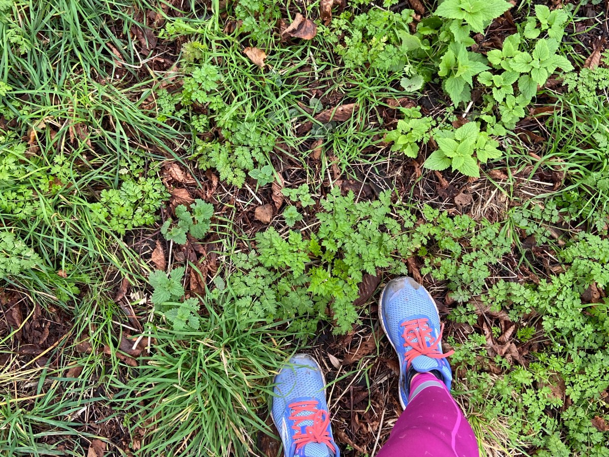 2020 mileage aim: getting to&nbsp;1500km!