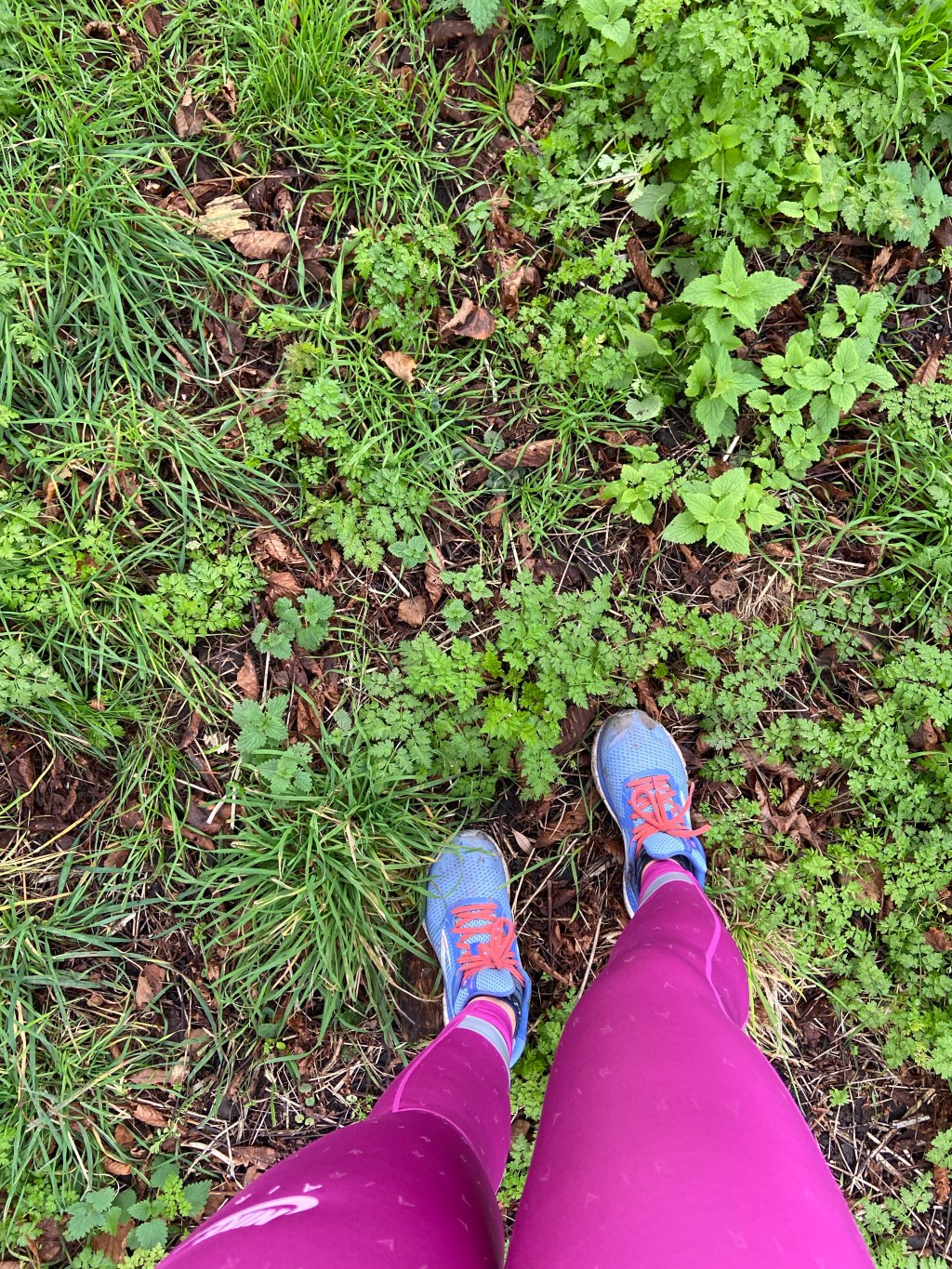 2020 mileage aim: getting to&nbsp;1500km!