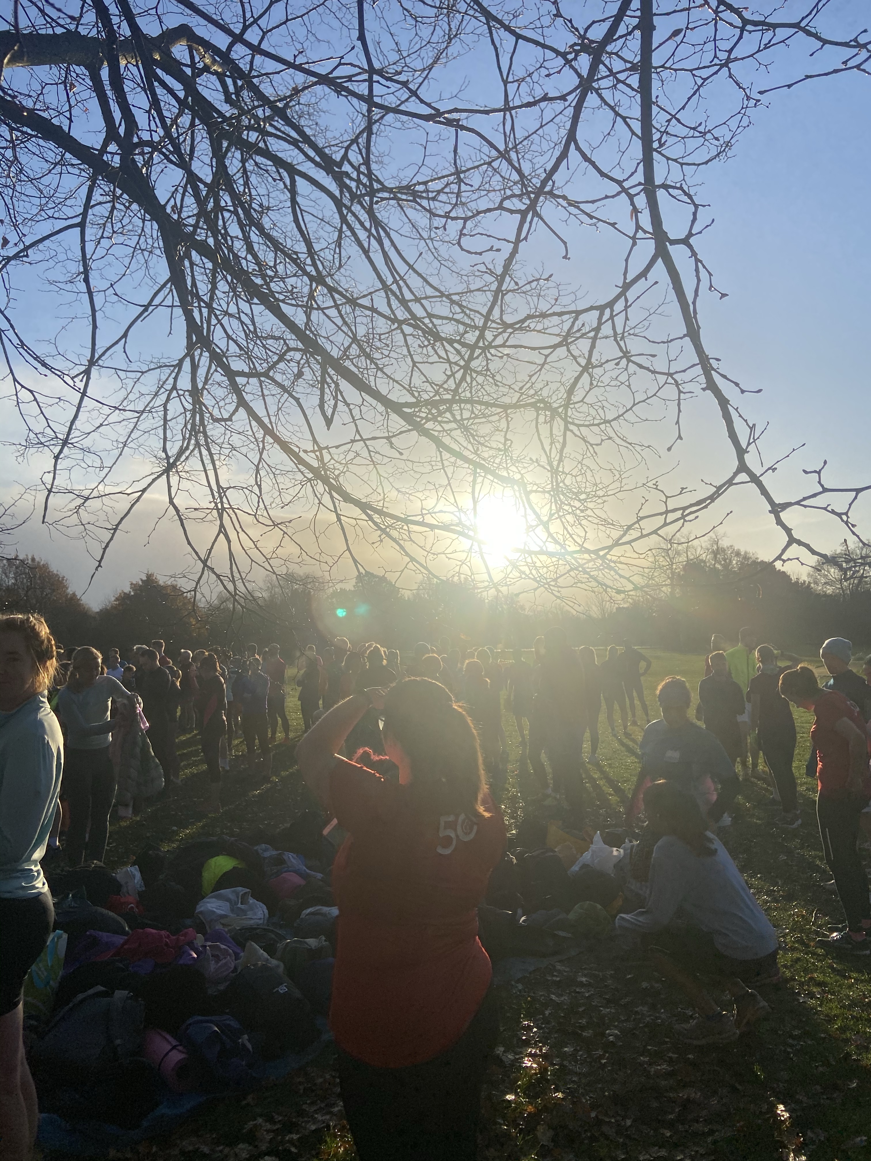 A group of runners in a park at Tooting Park Run underneath a tree with the sun shining above them